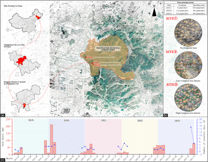 Electroencephalography-based psychological and physiological effects of winter virtual forest trail landscapes on youth