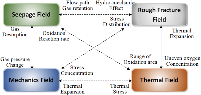 Quantifying fracture roughness effects on coal mine spontaneous combustion through a coupled thermos hydro mechanical model