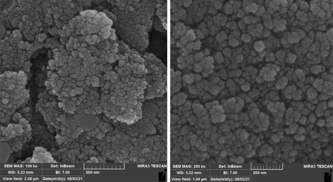 Decoration of silver and silver oxide nanoparticles on a magnetic albumin modified Chitosan support and its catalytic efficiency investigation