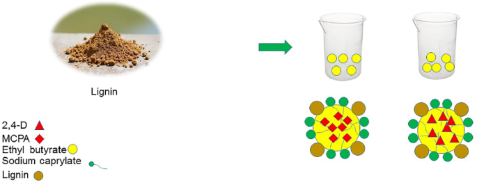 Lignin-based nanoencapsulation for sustainable herbicide delivery: controlled release and bioactivity of 2,4-D and MCPA compared to commercial formulations