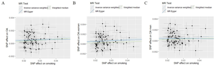 Smoking can increase the risk of osteoarthritis in European women