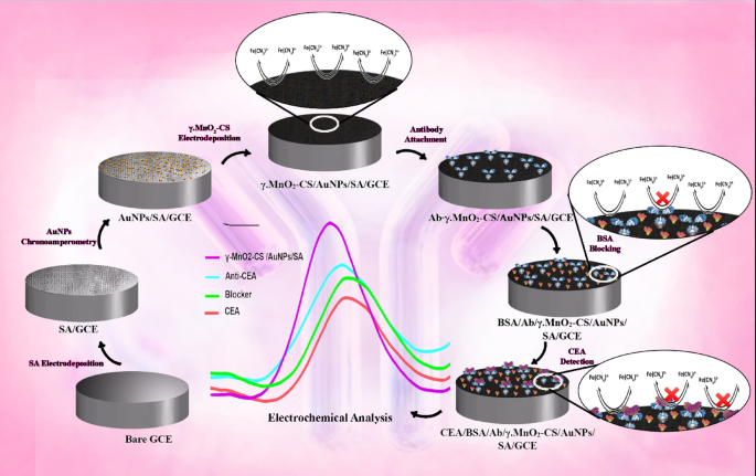 A novel electrochemical immunosensor based on biomaterials for detecting carcinoembryonic antigen biomarker in serum samples