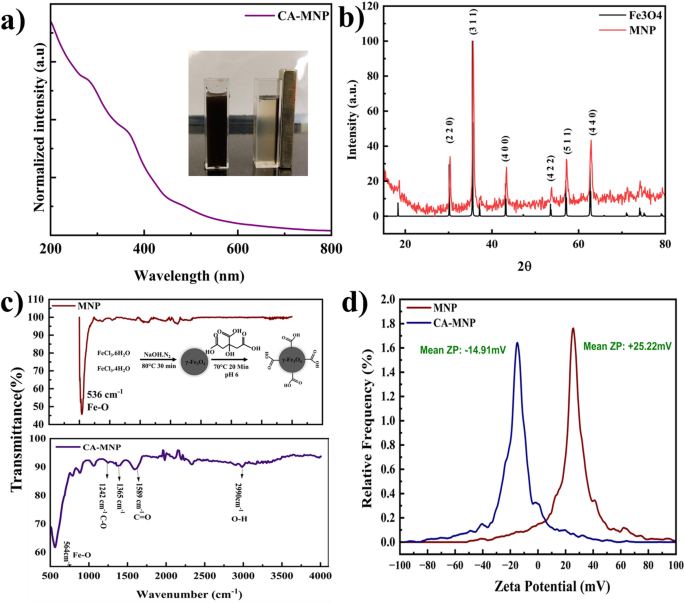 f-Block element separation mediated by carboxylated Fe3O4 nanoparticles as robust adsorbents in acidic systems