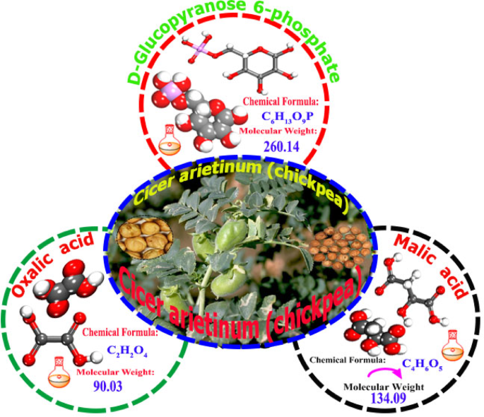 Electrochemical and computational investigation of Cicer arietinum extract as renewable and environmentally green corrosion inhibitor for aluminium in acidic environment