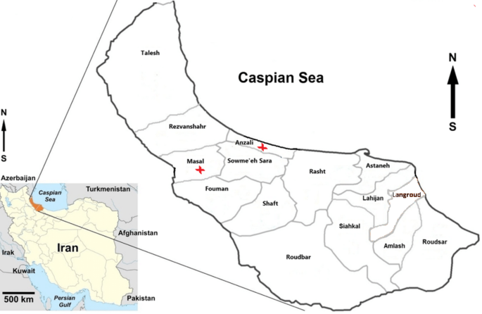 Assessment of pesticide handling and use practices and associated health and safety concerns among rice farmers, in Northern Iran