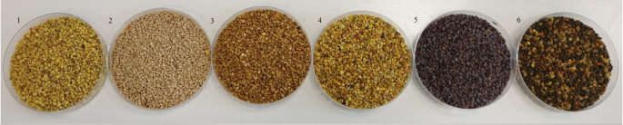 Bee pollen as a source of phenolic compounds in potato snacks