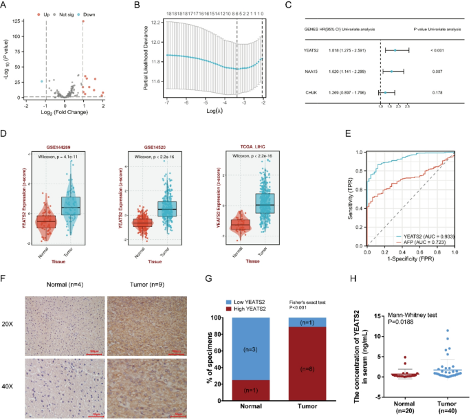 The value of acetylation reader YEATS2 in hepatocellular carcinoma management