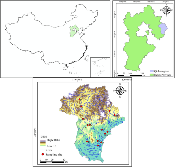 Spatial niche differentiation and key driving factors of dominant benthic macroinvertebrates in Qinhuangdao City, China