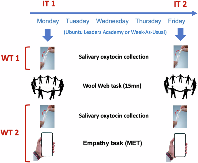 Psychological and hormonal effects of socio-emotional learning in adolescents: a randomized controlled trial