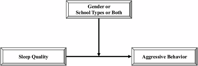 Do gender and school type disparities influence the relationship between sleep quality and aggressive behavior? A moderation analysis