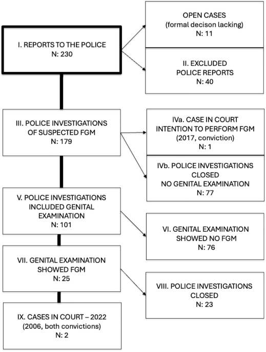 Genital examinations in cases of suspected ‘female genital mutilation’ in Sweden 1982–2022: lawful decisions resulting in structural injustice