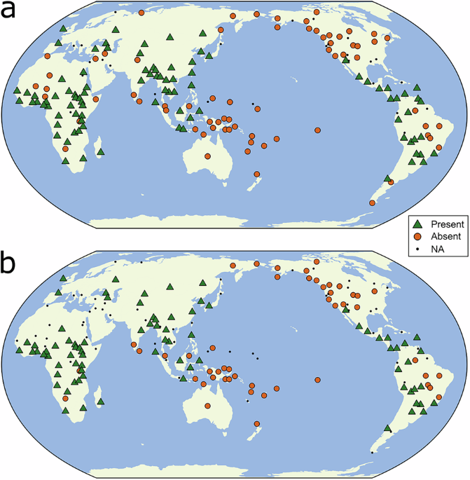 Did alcohol facilitate the evolution of complex societies?
