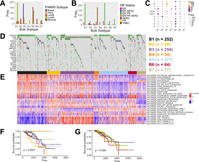 Identification of breast cancer subtypes and drug response prediction through forward and reverse translation
