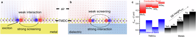 Photoluminescence enhancement in two-dimensional semiconductors via spacer-free metallic screening