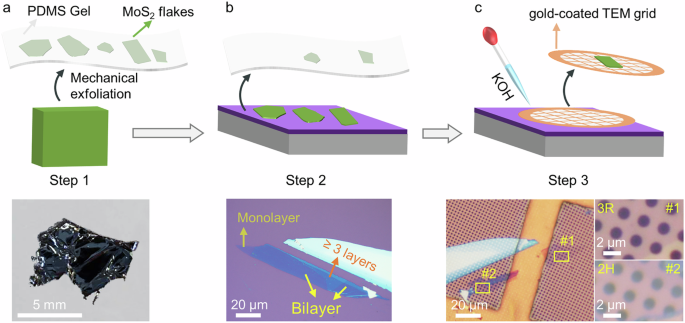 Identification of polytypism and their dislocations in bilayer MoS2 using correlative transmission electron microscopy and Raman spectroscopy
