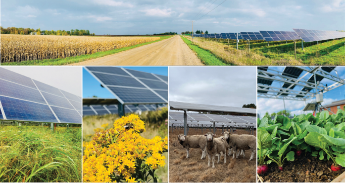Synergies and trade-offs of multi-use solar landscapes
