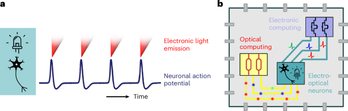 An electro-optical Mott neuron based on niobium dioxide