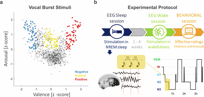 Affective information modulates slow-wave- and arousal-like responses during NREM sleep