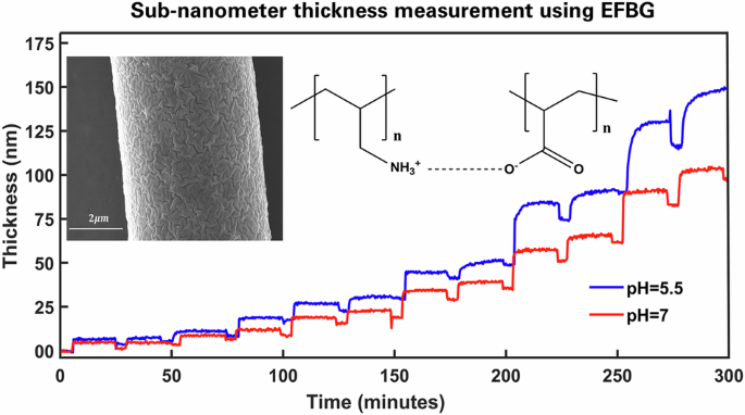 Sub-nanometer scale investigation of polyelectrolyte adsorption and desorption processes using etched fiber Bragg grating technique