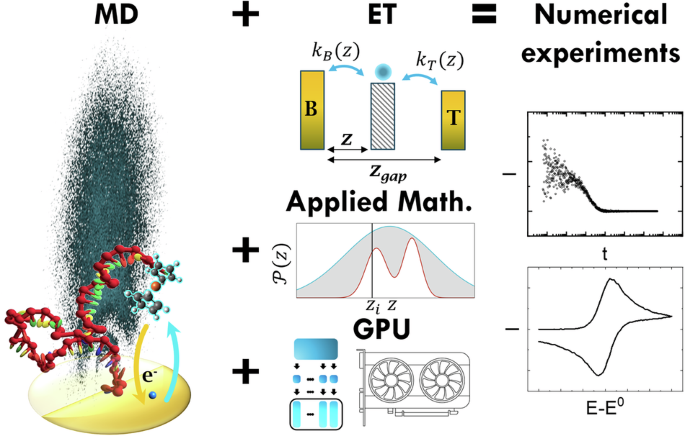 Quantum bioelectrochemical (QBIOL) software based on point stochastic processes
