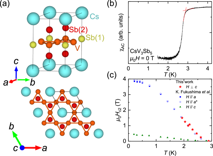 Novel spin dynamics in the superconducting state of kagomé superconductor