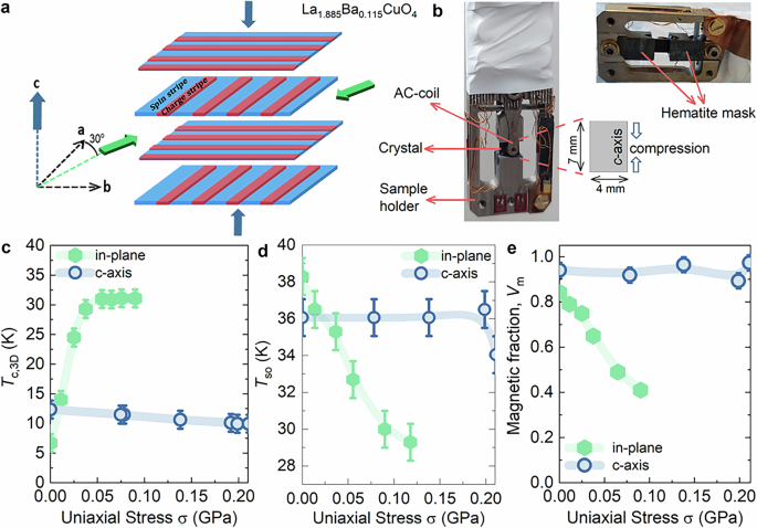 Contrasting c-axis and in-plane uniaxial stress effects on superconductivity and stripe order in La1.885Ba0.115CuO4