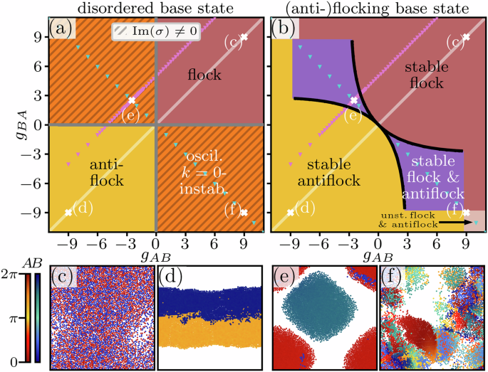 Synchronization and exceptional points in nonreciprocal active polar mixtures