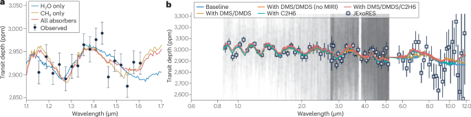 A spectroscopist’s view of the evolving story of exoplanet K2-18 b
