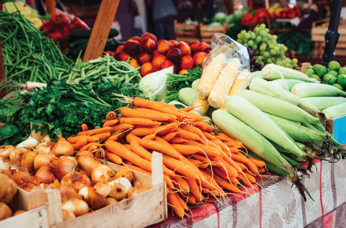 Scientific reflection on the European Commission’s Vision for Agriculture and Food