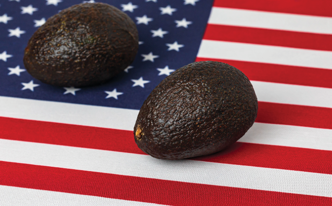 Tariffs and food security in the US–Mexico agricultural corridor