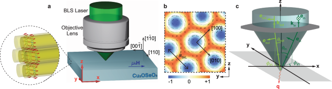 Short-wave magnons with multipole spin precession detected in the topological bands of a skyrmion lattice