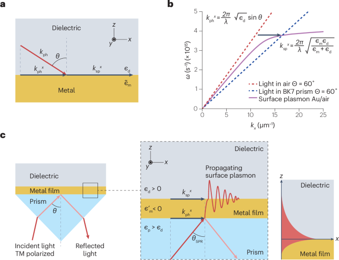 Surface plasmon resonance sensing | Nature Reviews Methods Primers