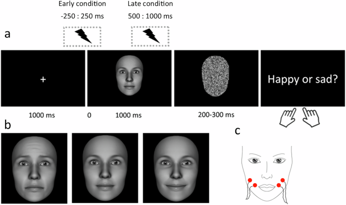 Electrical stimulation of smiling muscles reduces visual processing load and enhances happiness perception in neutral faces