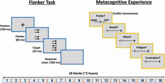 The temporal dynamics of metacognitive experiences track rational adaptations in task performance