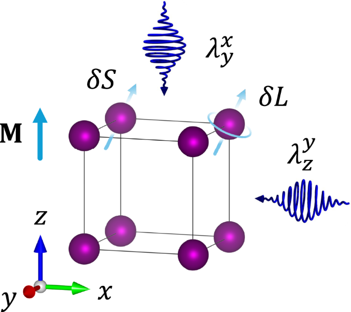 Light-induced orbital and spin magnetism in 3d, 4d, and 5d transition metals