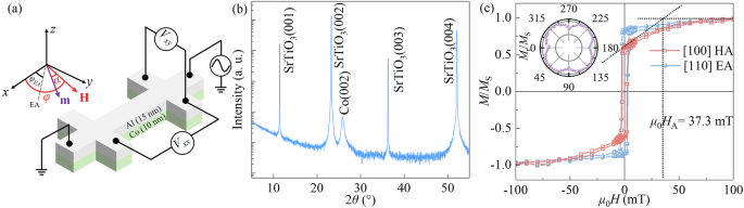 Observation of magnonic spin-orbit torque in epitaxial Co films