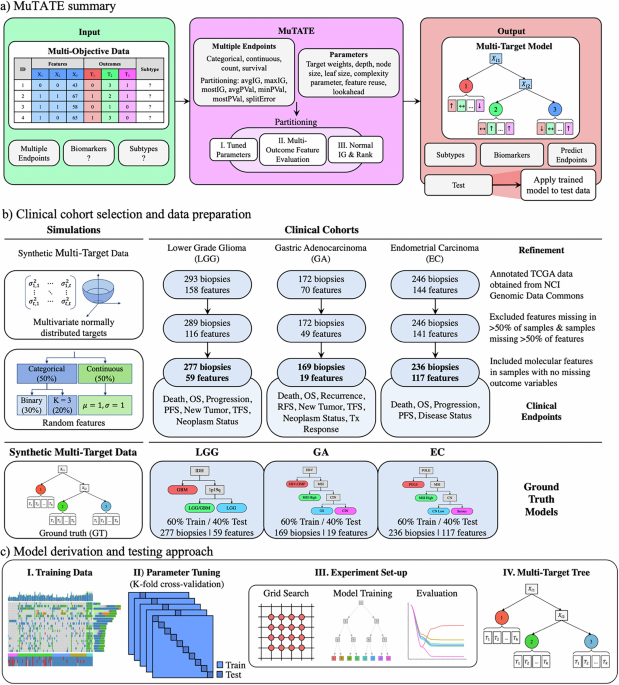 MuTATE: an interpretable multi-endpoint machine learning framework for automated molecular subtyping in cancer