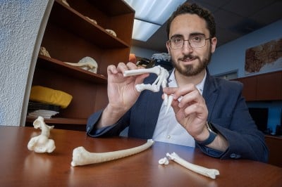 It’s All in the Wrist: Dinosaur Carpal Bone May Alter Scientists’ View of the Evolution of Flight