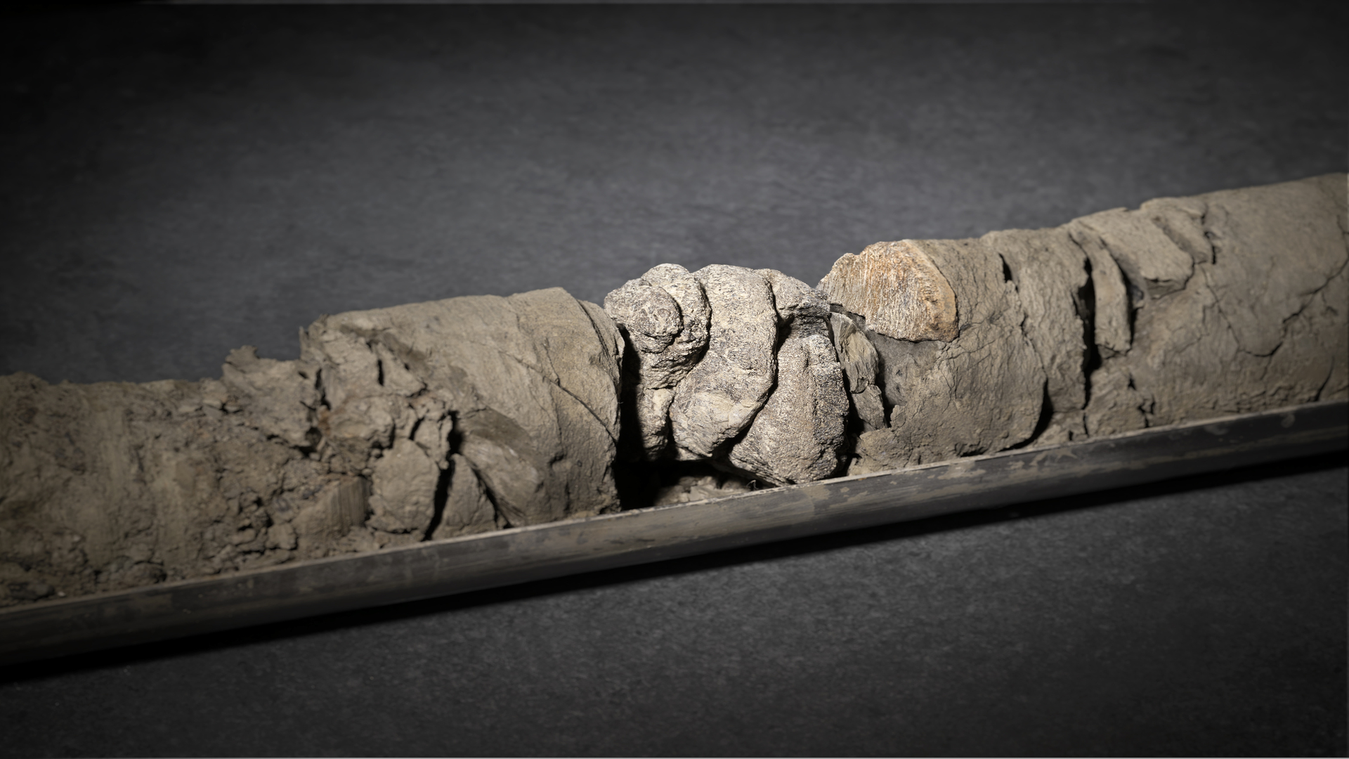 US museum finds 67-million-year-old dinosaur fossil under asphalt
