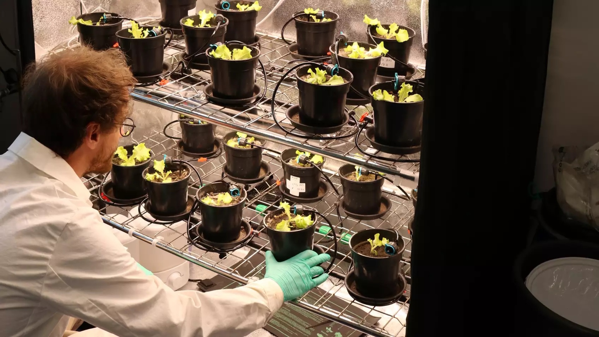Germany pressure-cooks waste to trap 50 tons of CO2 per hectare