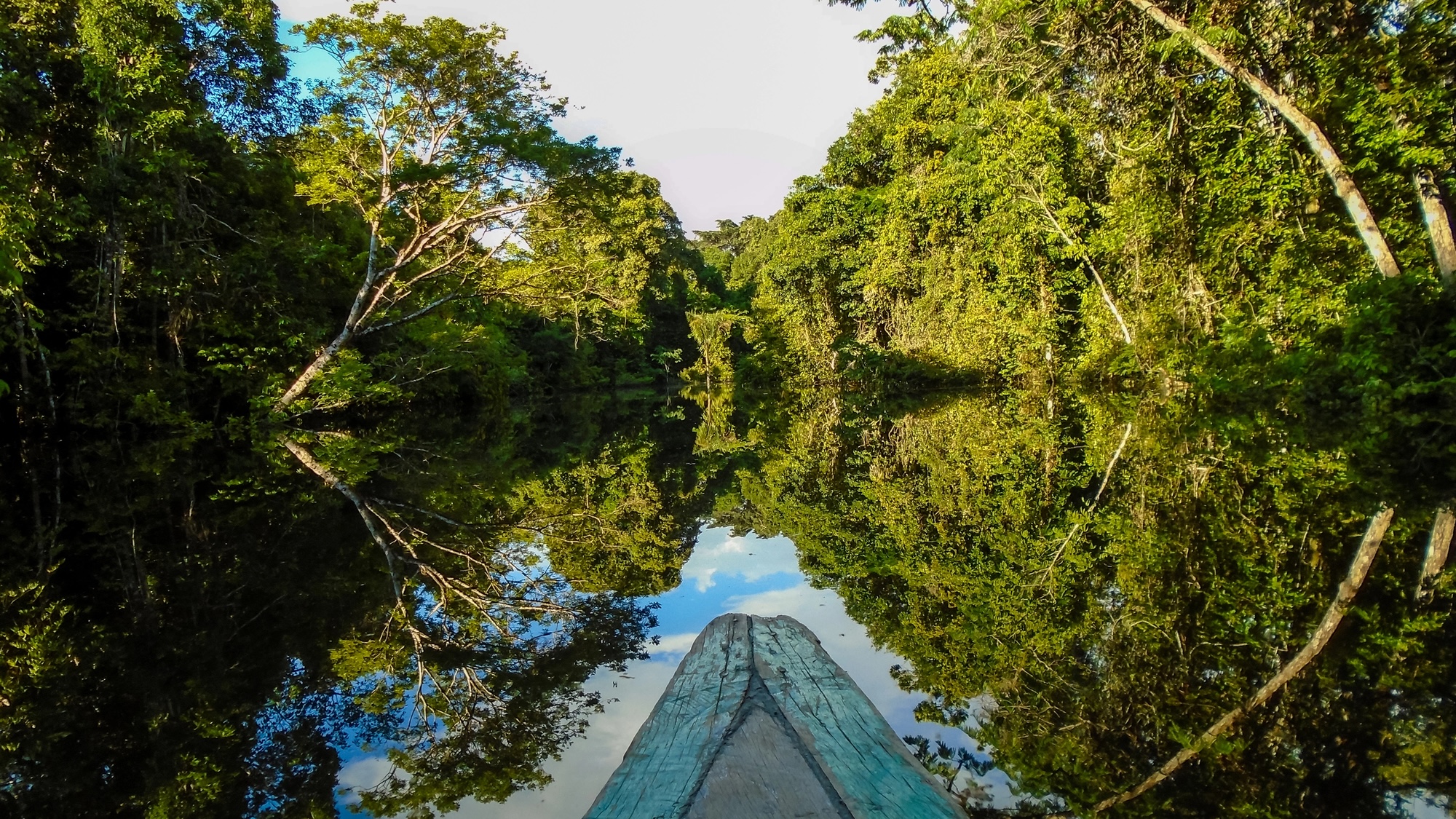 Missionaries accused of illegally giving gadgets to isolated Amazon tribe