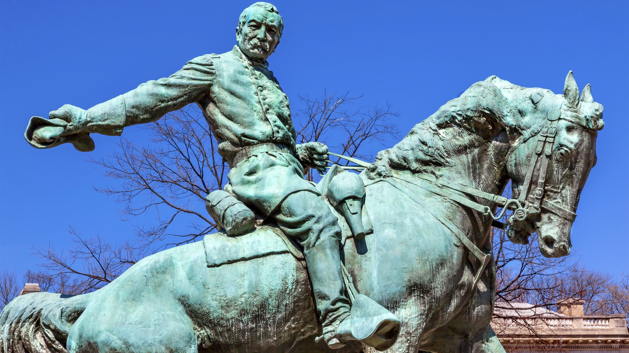 The US Army is selling their horses