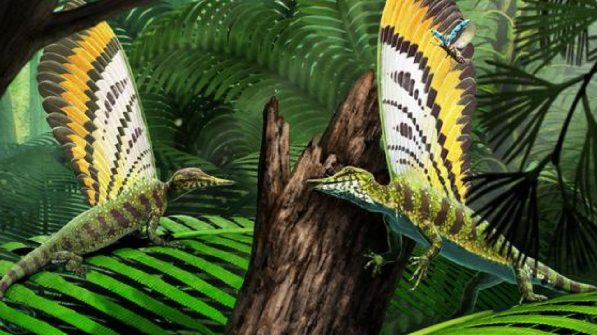 247-million-year-old fossil reveals ‘wonder’ reptile with unique skin