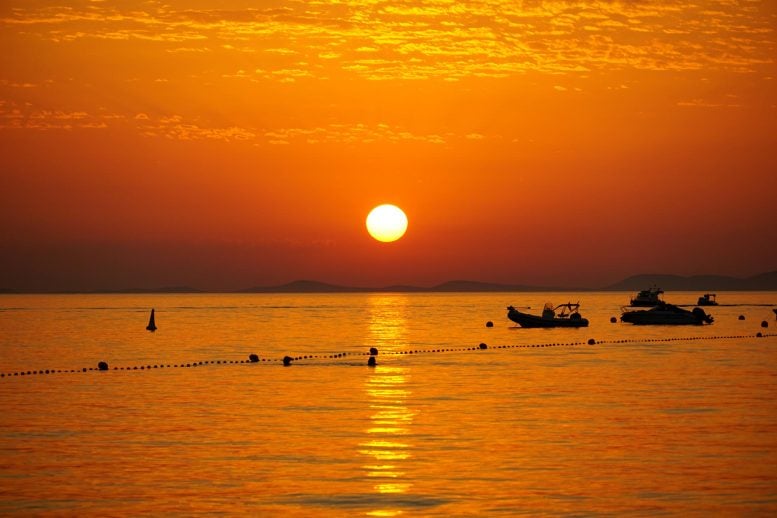 The Ocean Got Too Hot – And Life Collapsed From Plankton to Whales