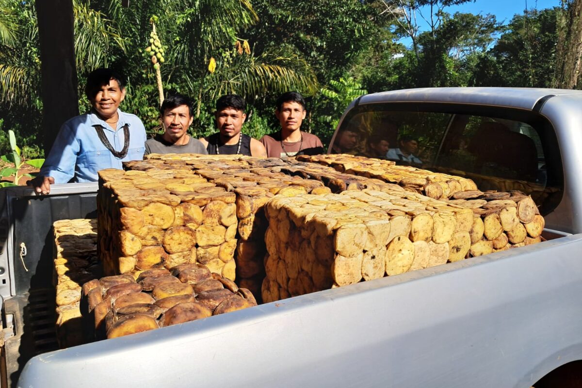Indigenous rubber bounces back for Amazon conservation and higher income