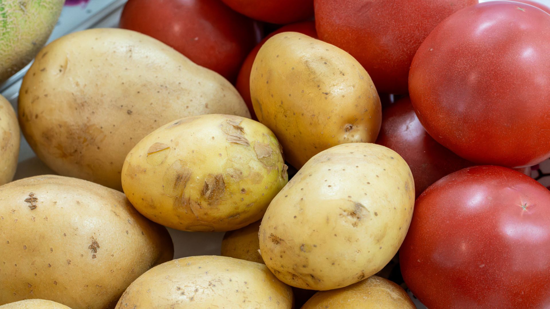 Potato and tomato are 9-million-year-old lovers, new study reveals