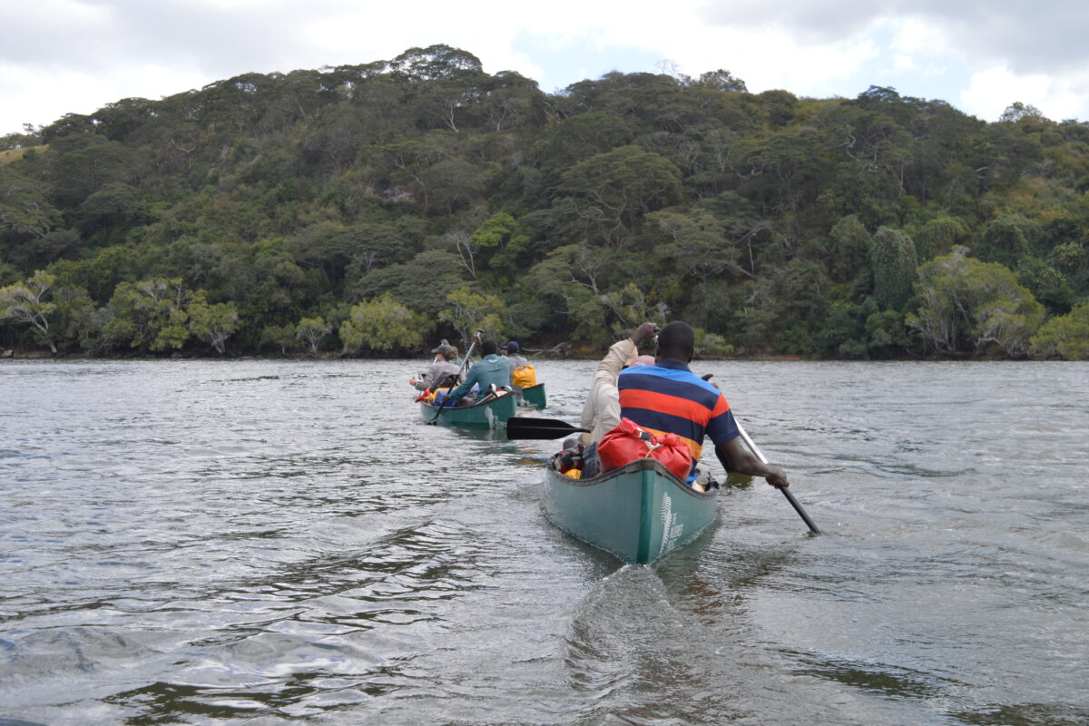 From cattle to crayfish, human pressures mount on Zambia’s Kafue River