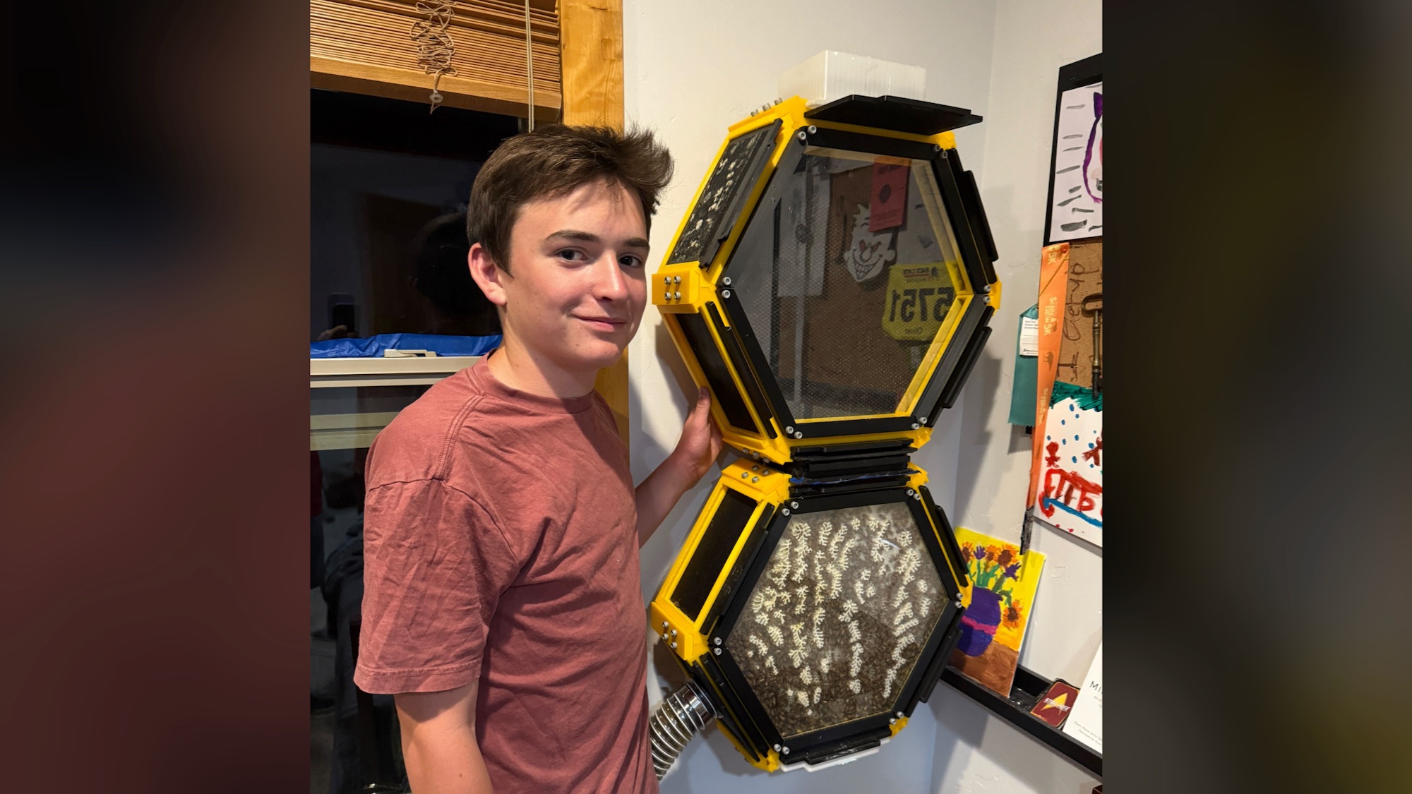 This teen 3D printed a beehive for his bedroom