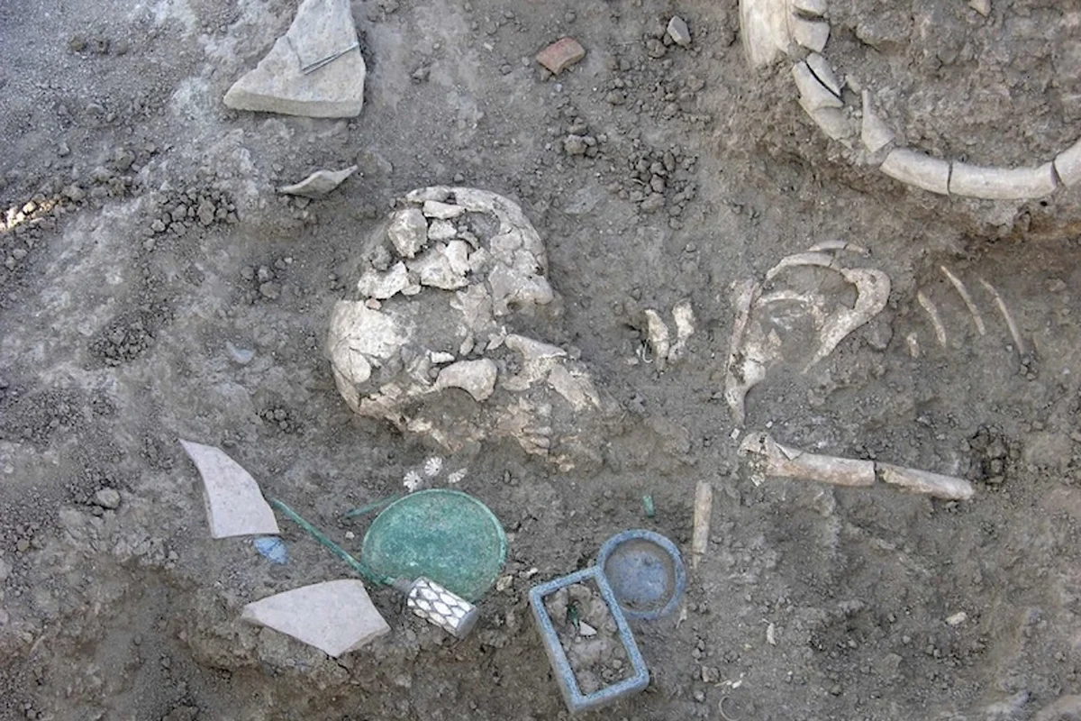 Bronze Age treasures found in high status tomb