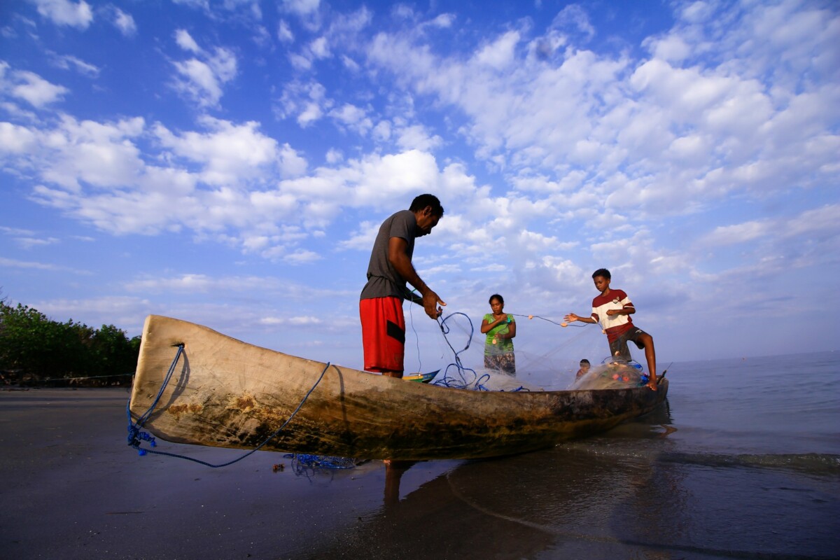 A new data hub helps small-scale fishers adapt to climate change